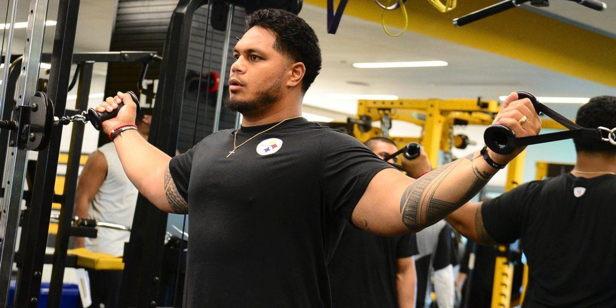 Steelers Defensive Tackle Tyson Alualu