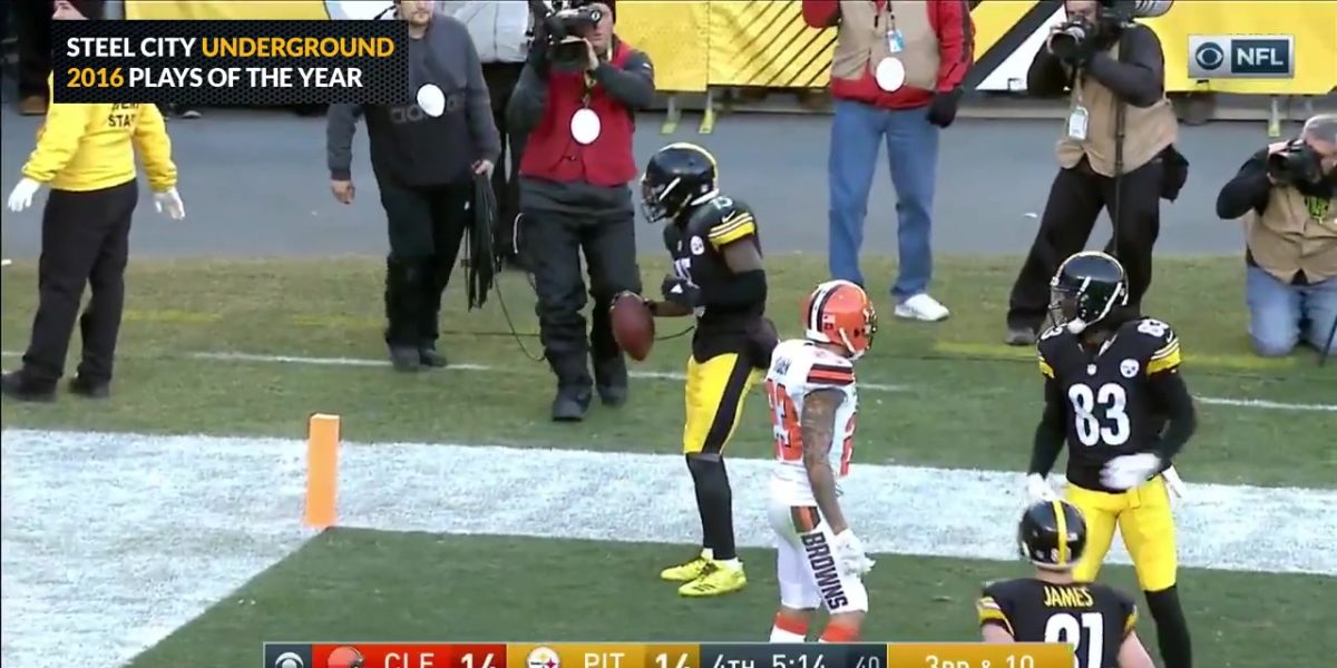 Pittsburgh Steelers wide receiver Demarcus Ayers scored a touchdown on the Cleveland Browns