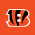 Cincinnati Bengals