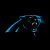 Carolina Panthers