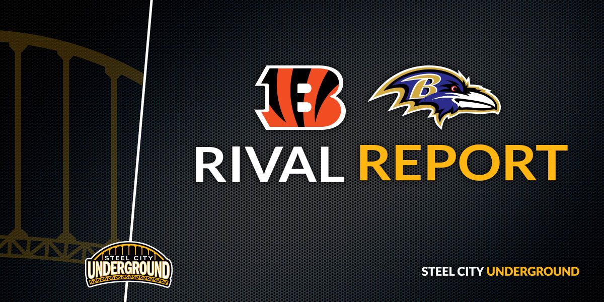 SCU Bengals and Ravens Rival Report