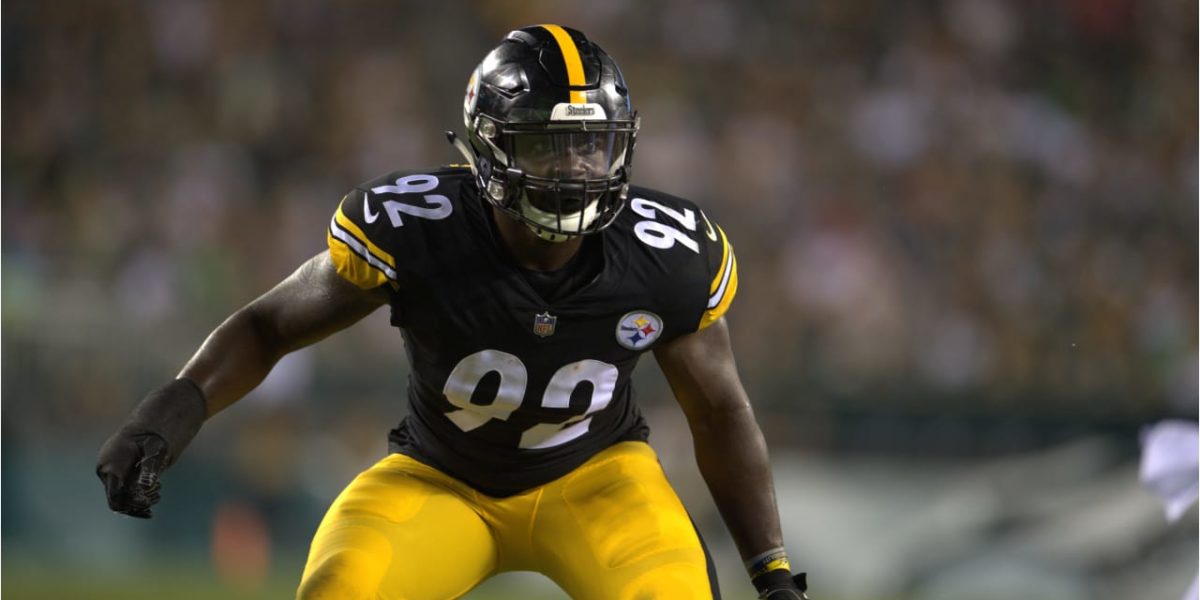 Pittsburgh Steelers LB Olasunkanmi Adeniyi