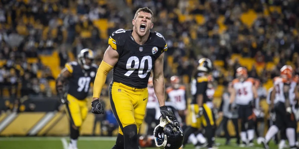 Pittsburgh Steelers linebacker T.J. Watt reacts after sacking Jeff Driskel of the Cincinnati Bengals in Week 17 of the 2018 NFL regular season