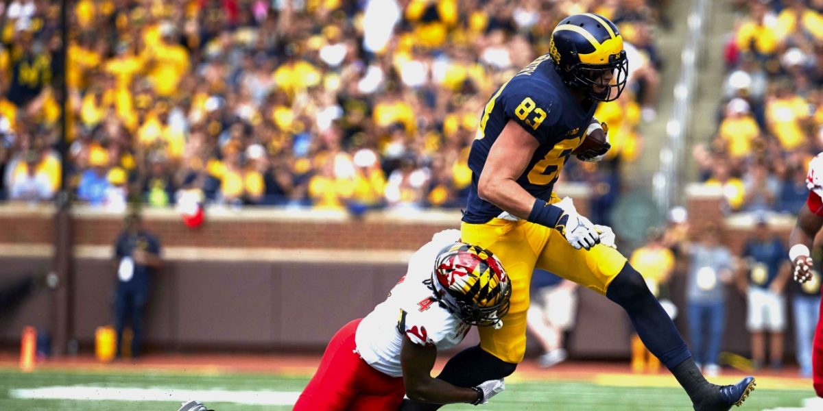 Michigan Wolverines tight end Zach Gentry makes a contested catch