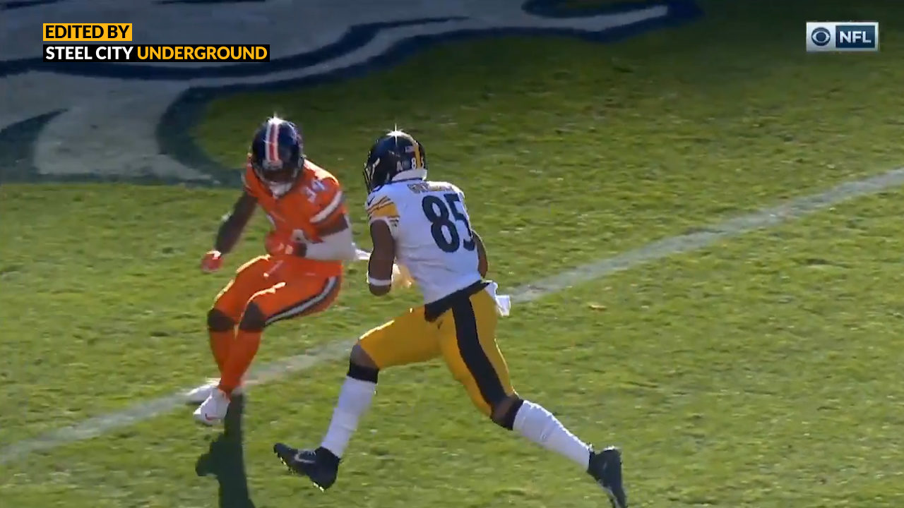 Pittsburgh Steelers TE Xavier Grimble attempts to score against the Denver Broncos