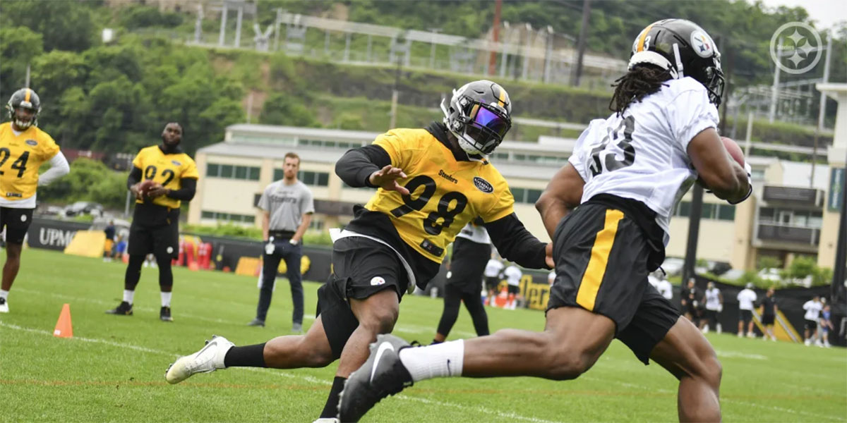 Pittsburgh Steelers LB Vince Williams during OTAs