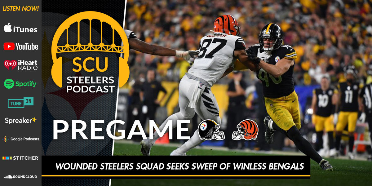 Wounded Steelers squad seeks sweep of winless Bengals