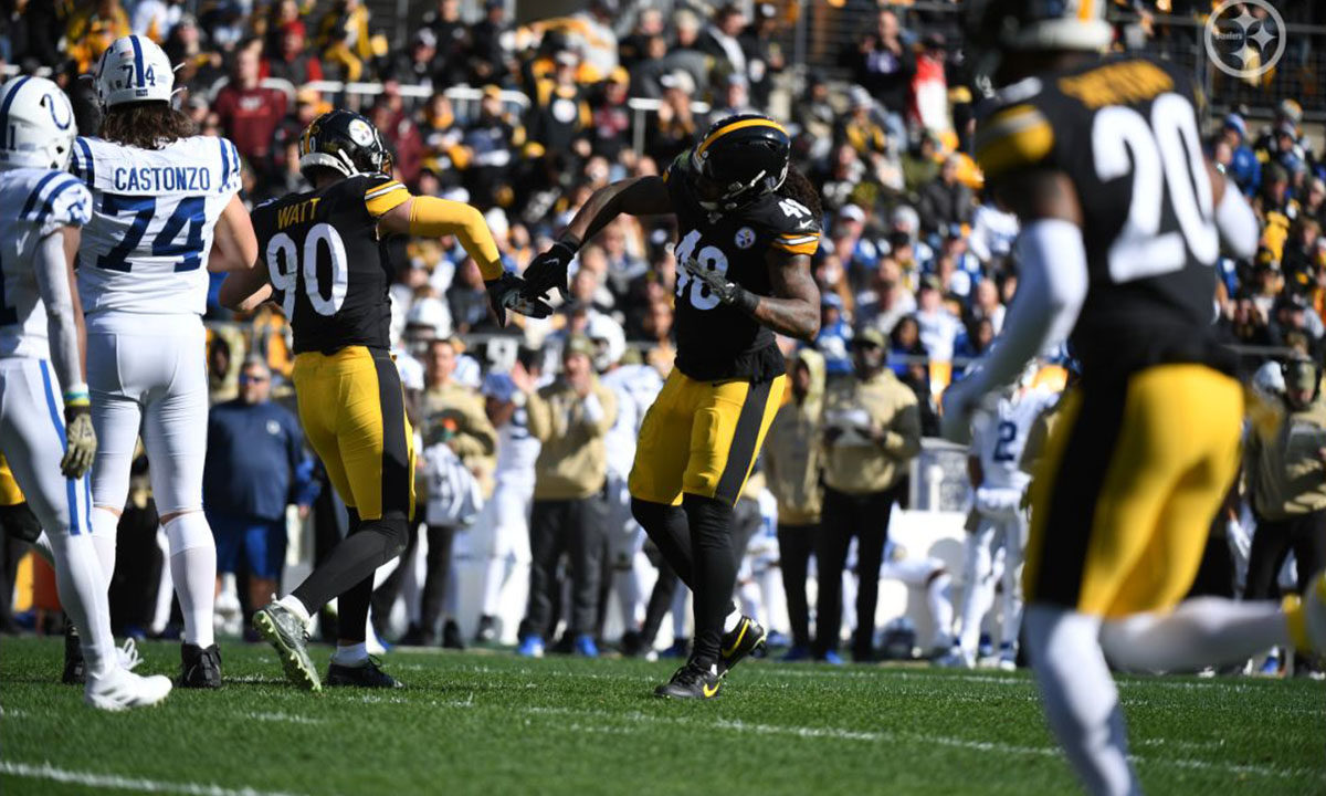 Pittsburgh Steelers LB TJ Watt and Bud Dupree