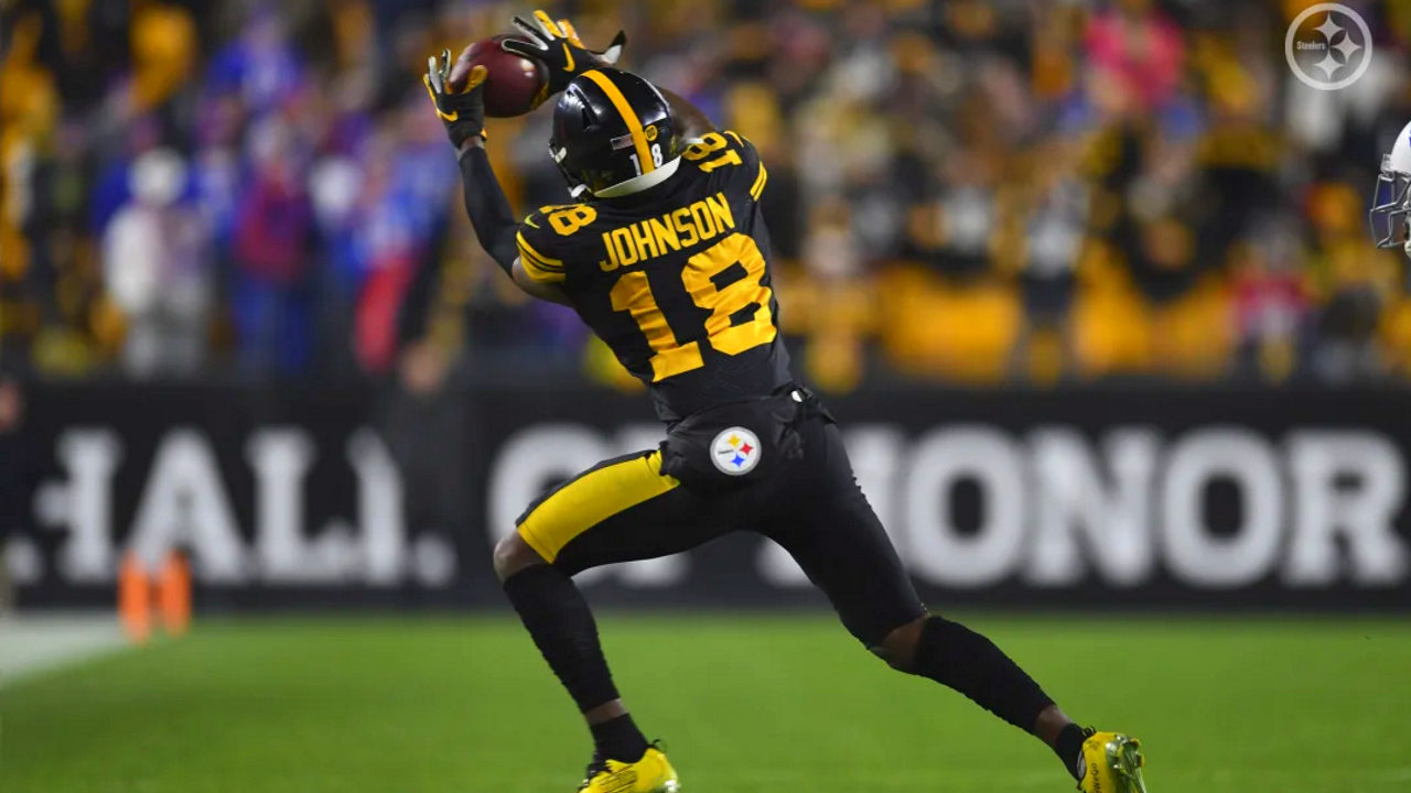Pittsburgh Steelers rookie wide receiver Diontae Johnson makes a catch at Heinz Field during the 2019-20 NFL regular season