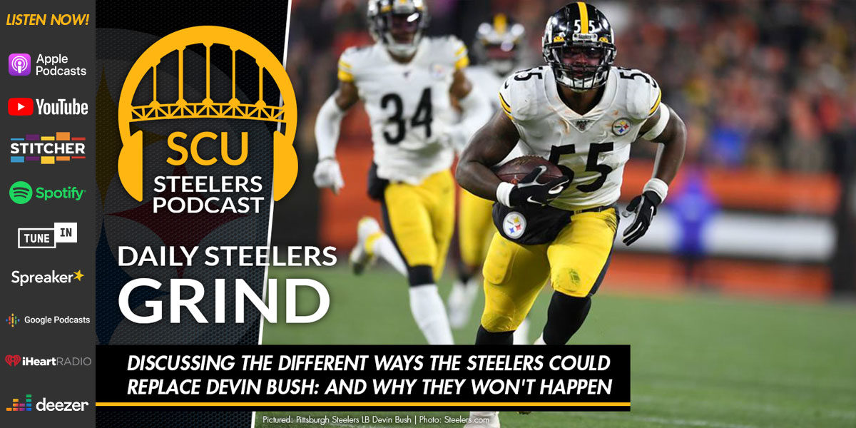 Discussing the different ways the Steelers could replace Devin Bush: and why they won't happen