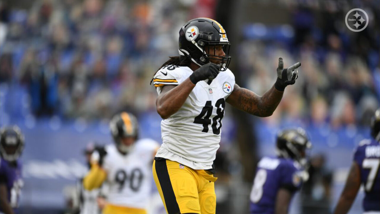 Pittsburgh Steelers LB Bud Dupree