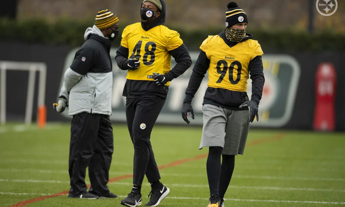 Bud Dupree and T.J. Watt of the Pittsburgh Steelers