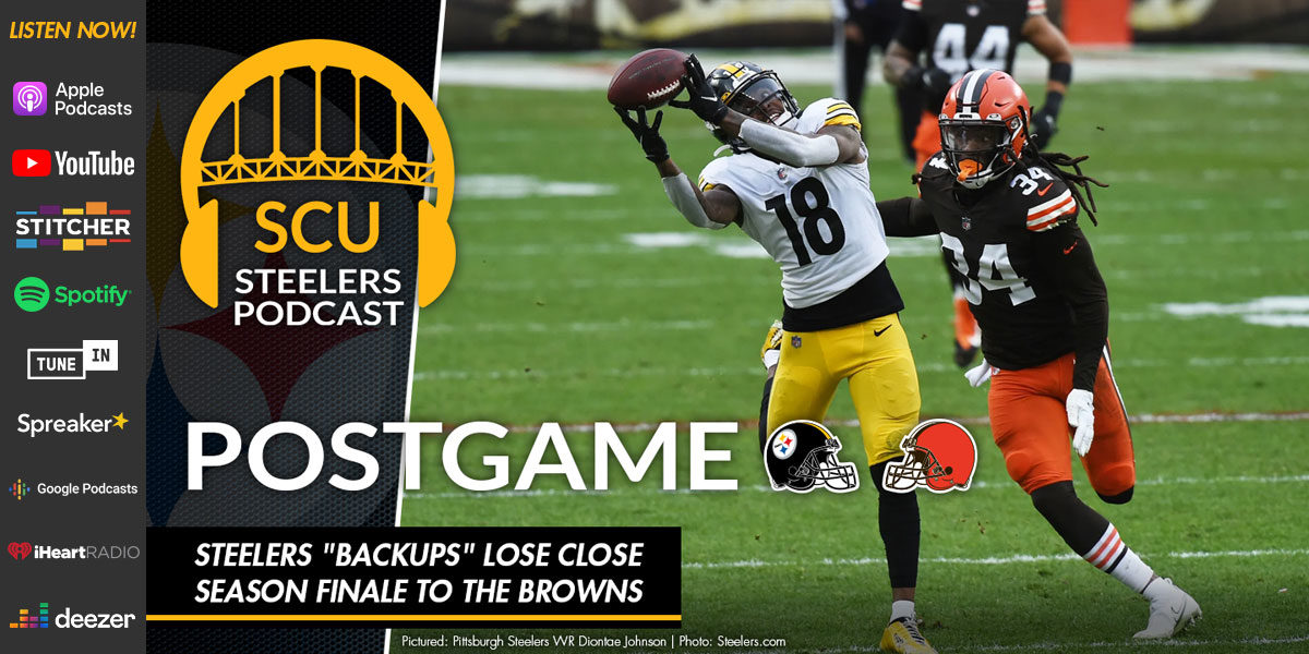 Steelers "backups" lose close season finale to the Browns