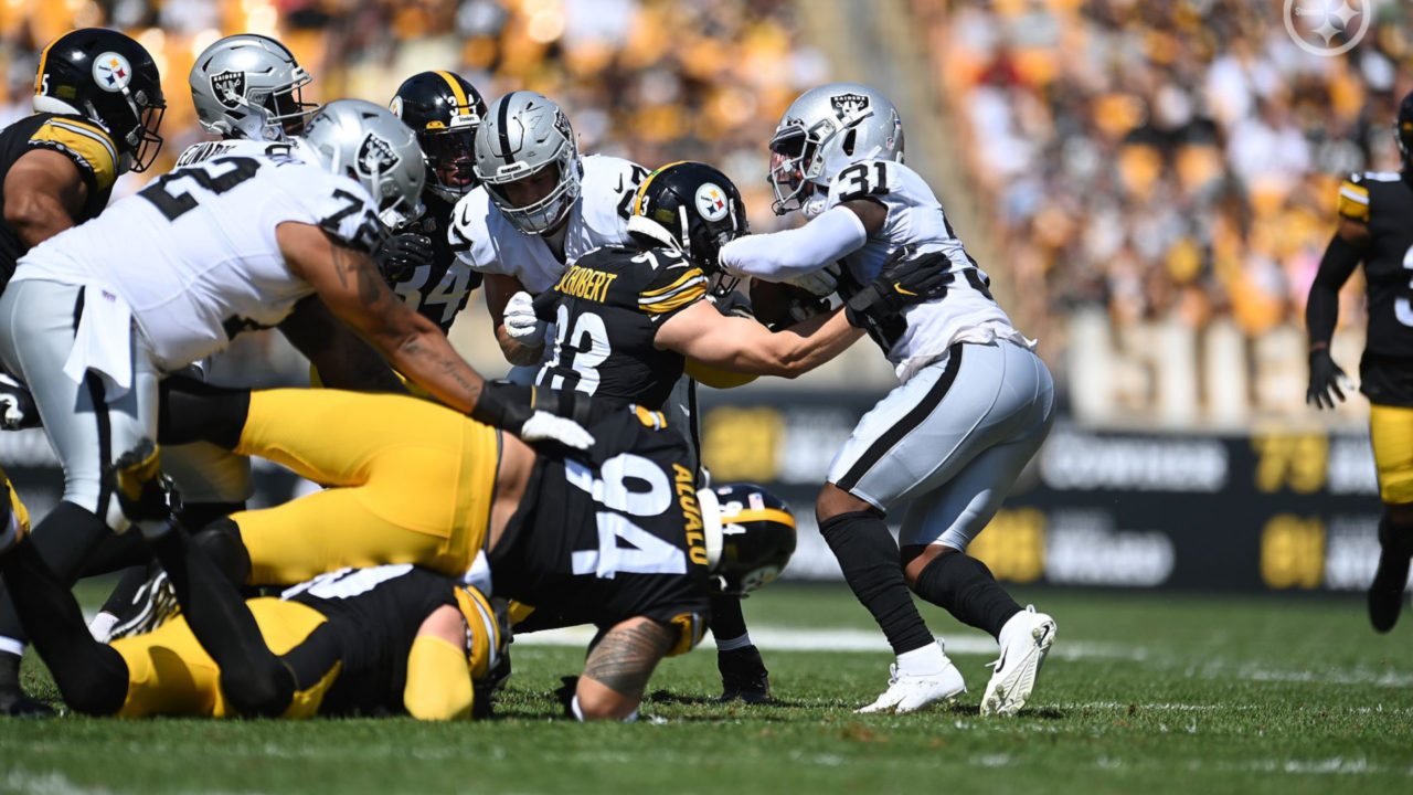 Pittsburgh Steelers DT Tyson Alualu