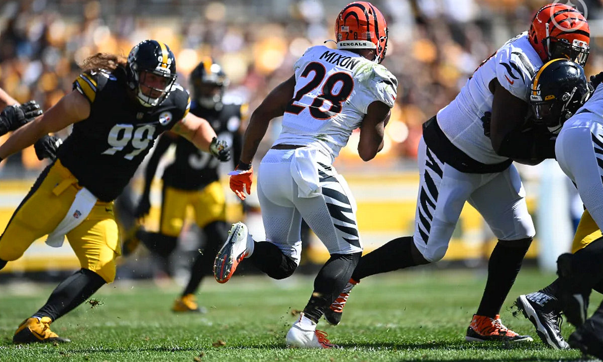 Henry Mondeaux, Steelers vs Bengals