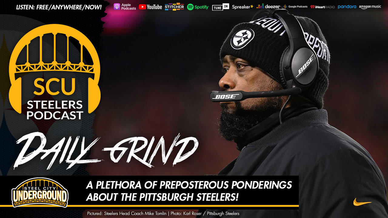A plethora of preposterous ponderings about the Pittsburgh Steelers!