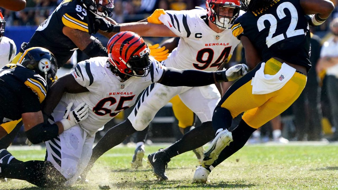 Pittsburgh Steelers DT Larry Ogunjobi