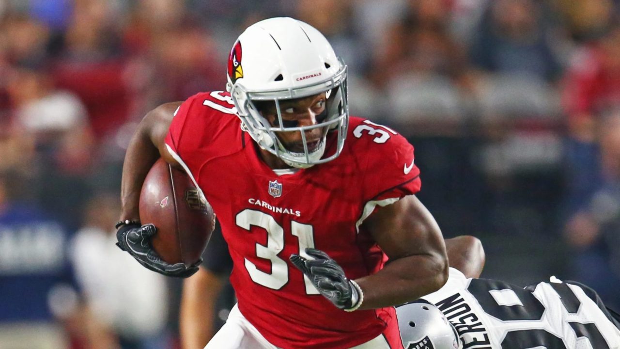 Arizona Cardinals RB David Johnson