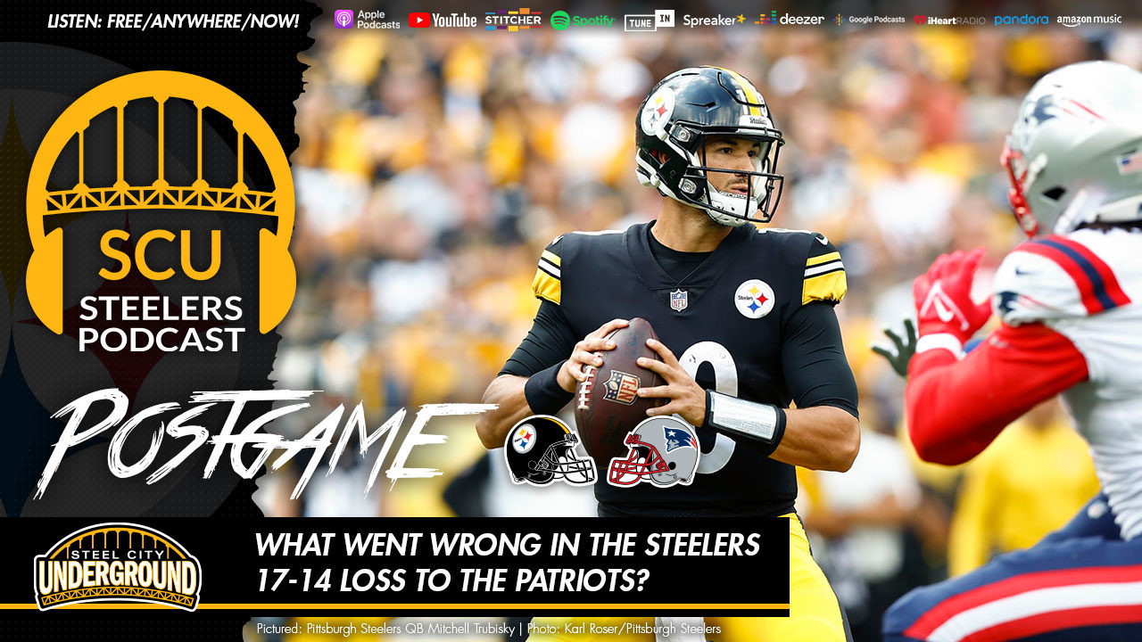 What went wrong in the Steelers 17-14 loss to the Patriots?