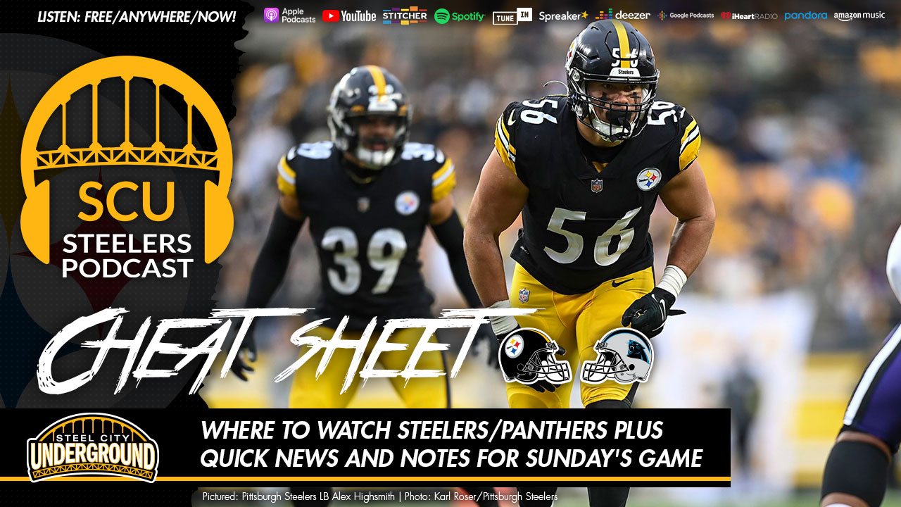 steelers v panthers